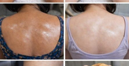 635498653 122208725084567604 6525334847462762578 n