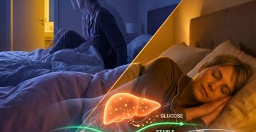 635525794 122208911144567604 7287031361261045350 n