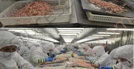 637135504 122208815864567604 3546865185623026932 n