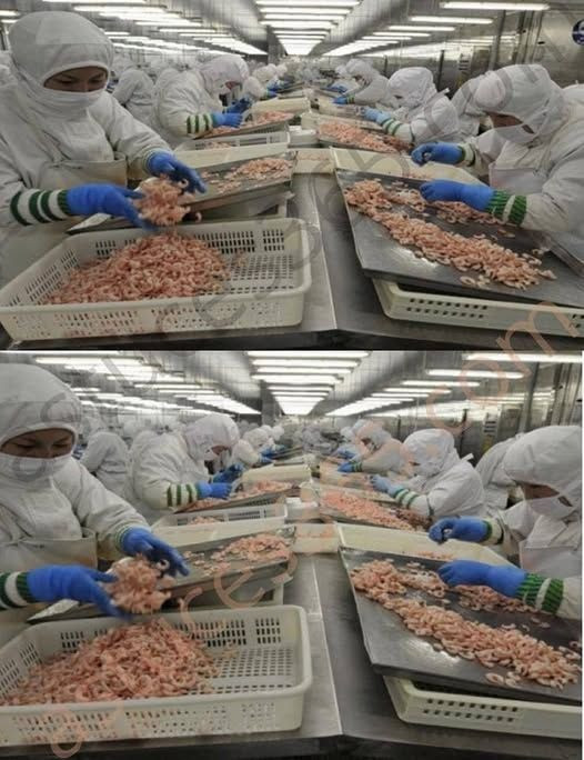 637135504 122208815864567604 3546865185623026932 n