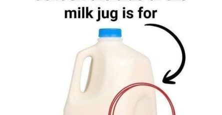 637270851 122208914024567604 4559469652344845923 n