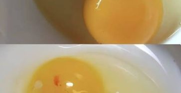 637680199 122208924308567604 2445311916203827448 n