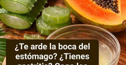 637784067 122101708563273215 4988640053226170534 n