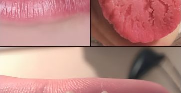 637795454 122208713372567604 596701912508266356 n