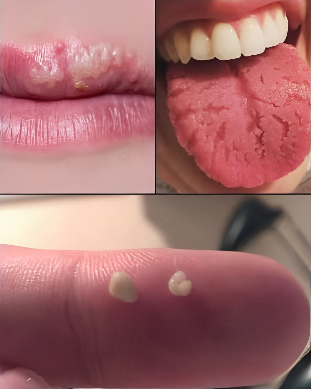 637795454 122208713372567604 596701912508266356 n