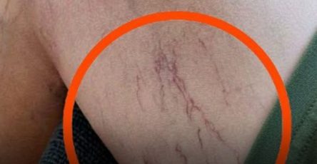 640318201 936298188922114 4510183713050719662 n