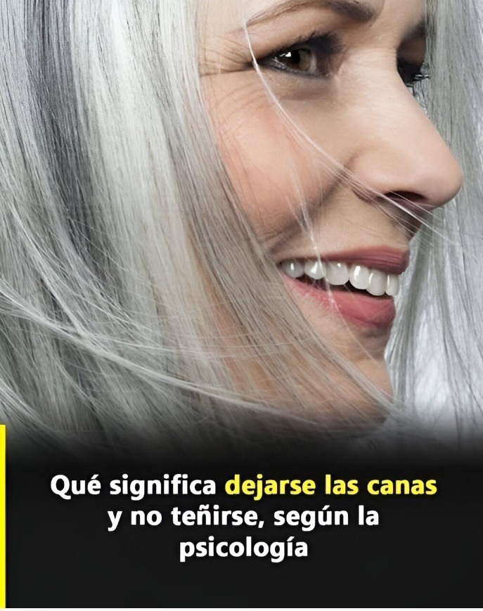 641272730 1226018093040782 1147818540542196783 n