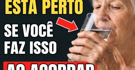 641568698 1322833733212236 9195482141249933251 n