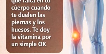 641679378 899545802785090 6743578909990660520 n