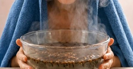 645893466 2069403057176070 4471960214558829716 n