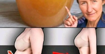 646123813 1513244350321797 2207730494513117998 n