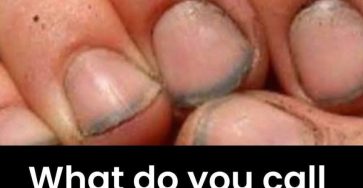 647772704 1647523779756120 5738066347310972023 n