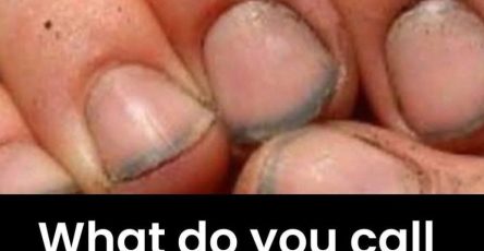 647772704 1647523779756120 5738066347310972023 n