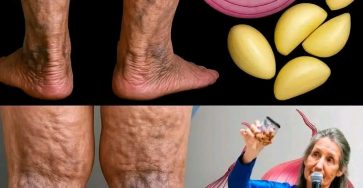 652683570 122106753273262456 8584783761372927877 n