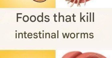 653700641 1693839781789859 989947474202439580 n (1)