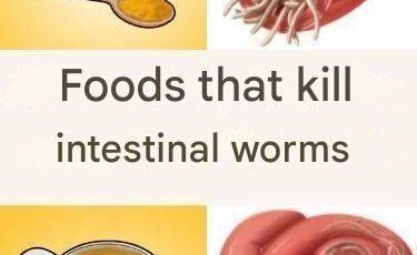 653700641 1693839781789859 989947474202439580 n (1)