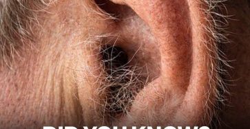 653703001 937258372124954 1189446590066803764 n