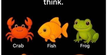 654224203 1645265136905282 8868321210053795364 n