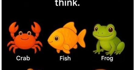 654224203 1645265136905282 8868321210053795364 n