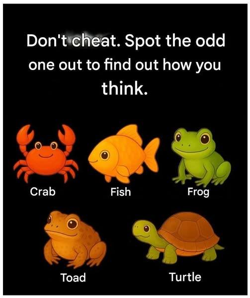 654224203 1645265136905282 8868321210053795364 n