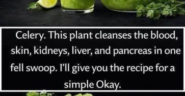 655009476 2144339903005885 2048996175422375675 n