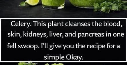 655009476 2144339903005885 2048996175422375675 n