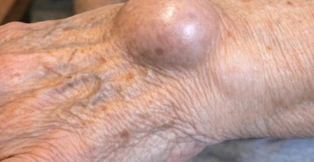 655022837 1951358472932694 5047274881207387999 n