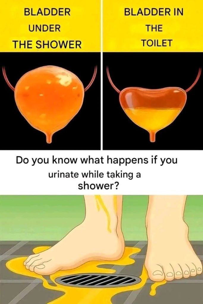 655512319 1384785340083220 266066054583757287 n