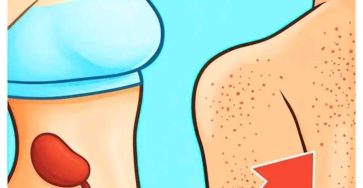 659151820 2149212782507773 579521507952989326 n