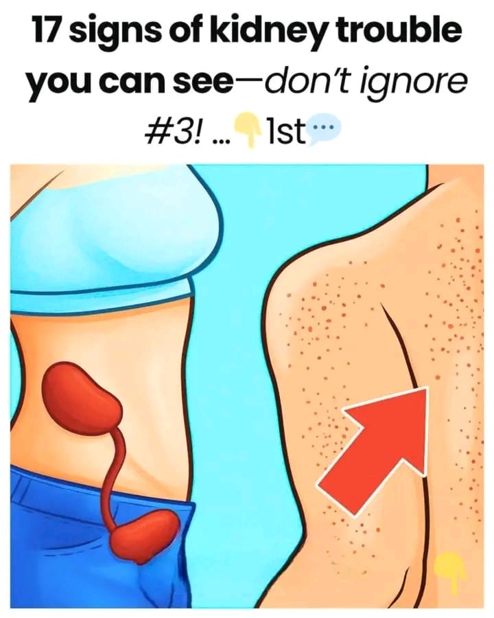 659151820 2149212782507773 579521507952989326 n