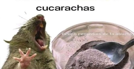 WhatsApp Image 2026 02 17 at 02.50.59 1024x1024