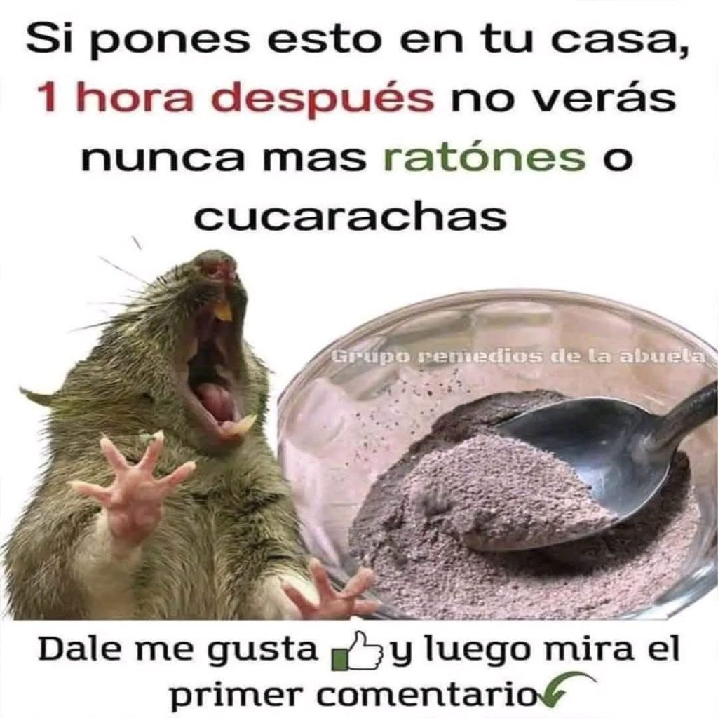 WhatsApp Image 2026 02 17 at 02.50.59 1024x1024