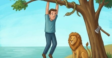 657138268 2805160363181316 7292432651422024119 n