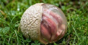 658120161 2805173056513380 4642056731964602258 n