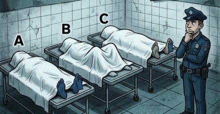 658141612 122155154144642850 1432880326714770034 n