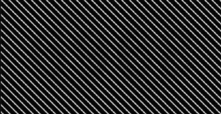 658201331 34634276199554305 8178574452792427232 n