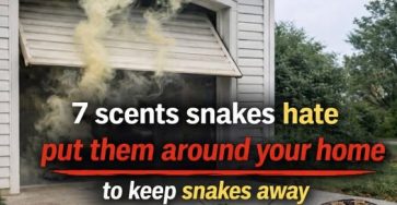 658223397 122217441002320885 3831712010573970420 n