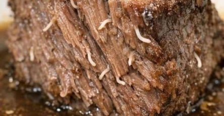 658623358 122099062772849583 4951668229084653001 n