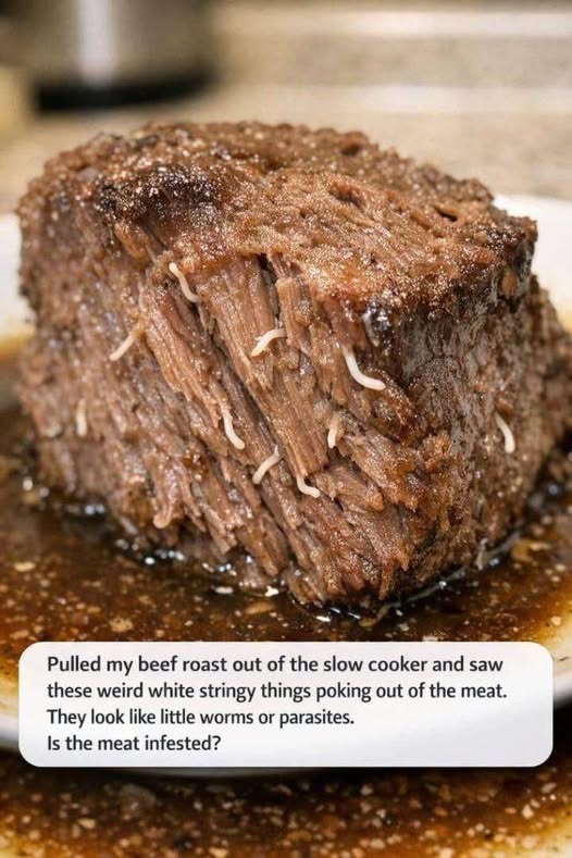 658623358 122099062772849583 4951668229084653001 n