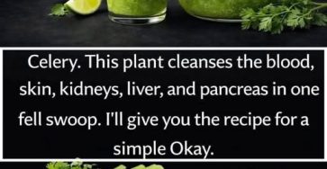 658900361 898365729871736 3946325515046988424 n