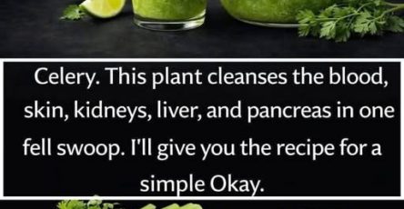 658900361 898365729871736 3946325515046988424 n