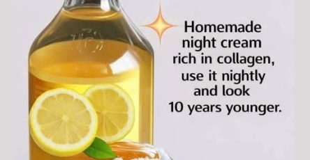 658912969 781599318358479 6673475591860704980 n