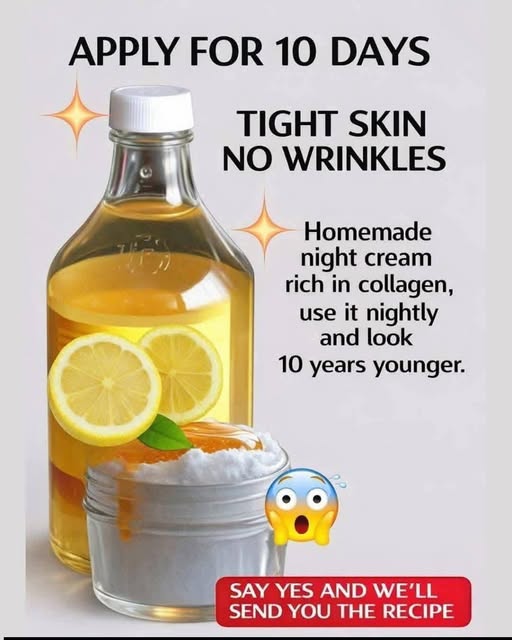 658912969 781599318358479 6673475591860704980 n