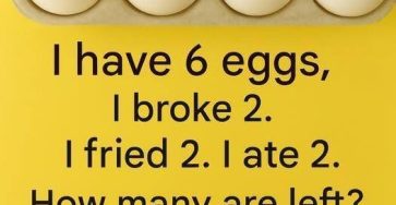 658963213 1781677139483882 3588729342569704069 n