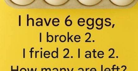 658963213 1781677139483882 3588729342569704069 n