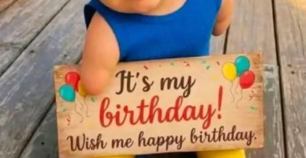 658975534 34627429713572287 4348875370721742465 n