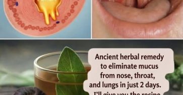 659029086 781335388384872 6565910868209089883 n