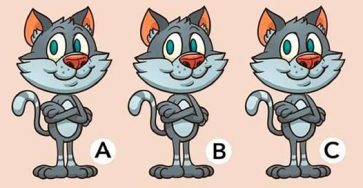 659048010 122155355828642850 6867091058704540239 n