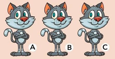 659048010 122155355828642850 6867091058704540239 n