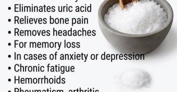 659070725 2806114636419222 5309424962670931541 n